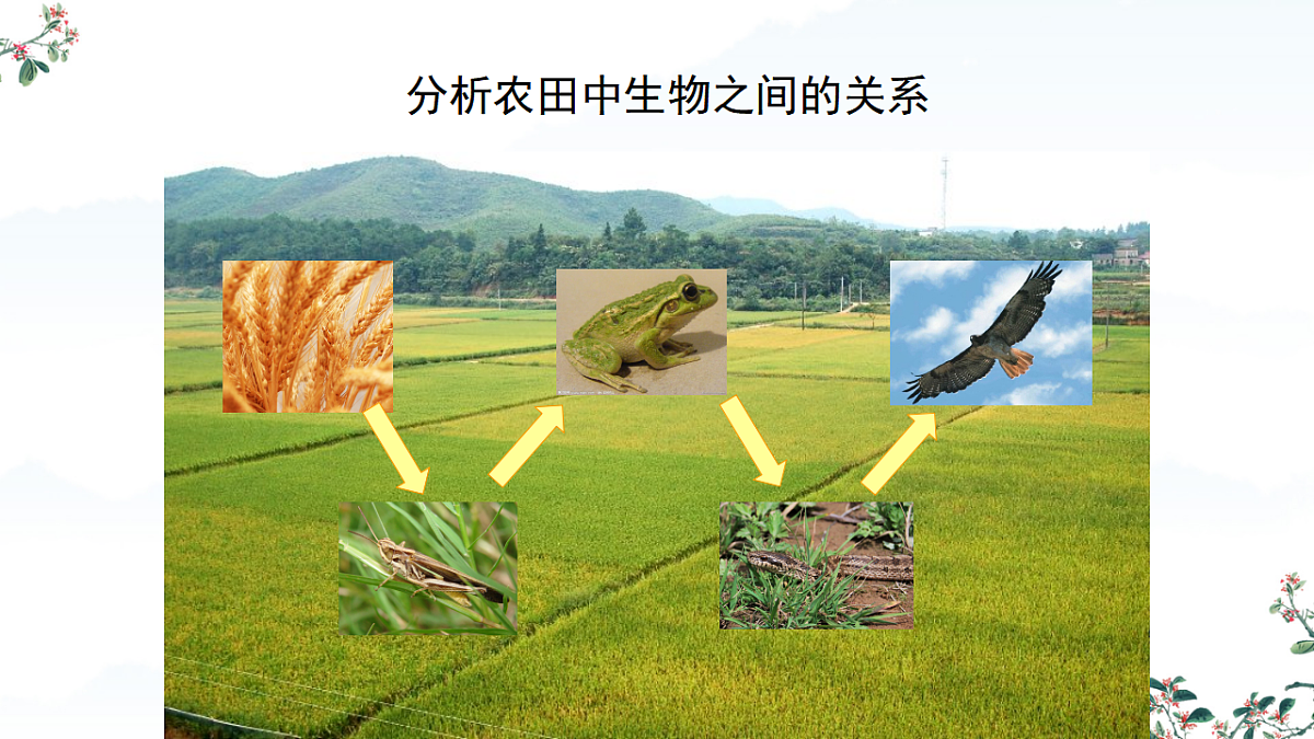 17752584第3页