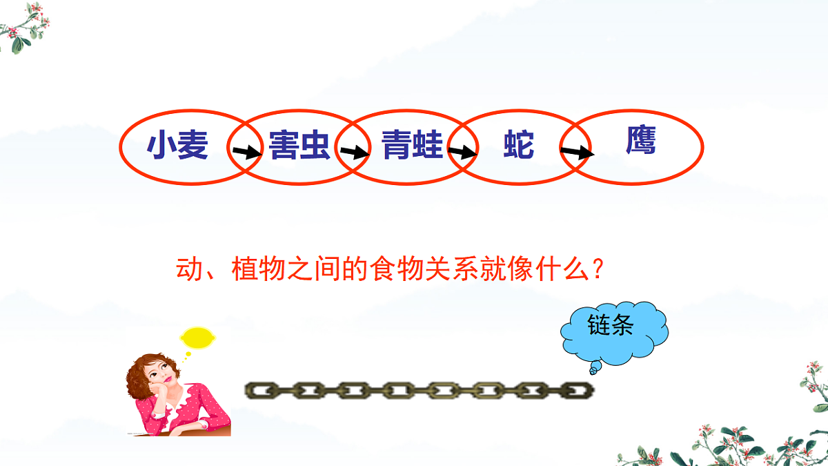 17752584第4页