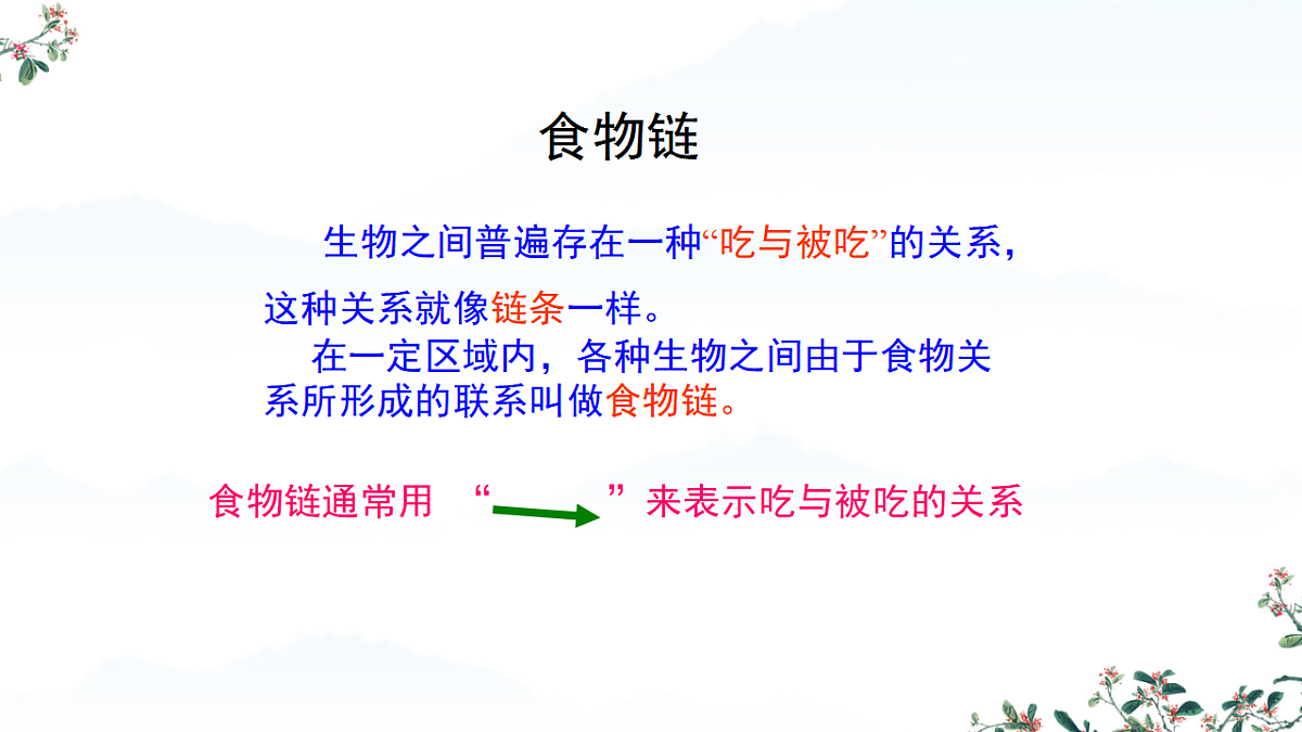 17752584第5页