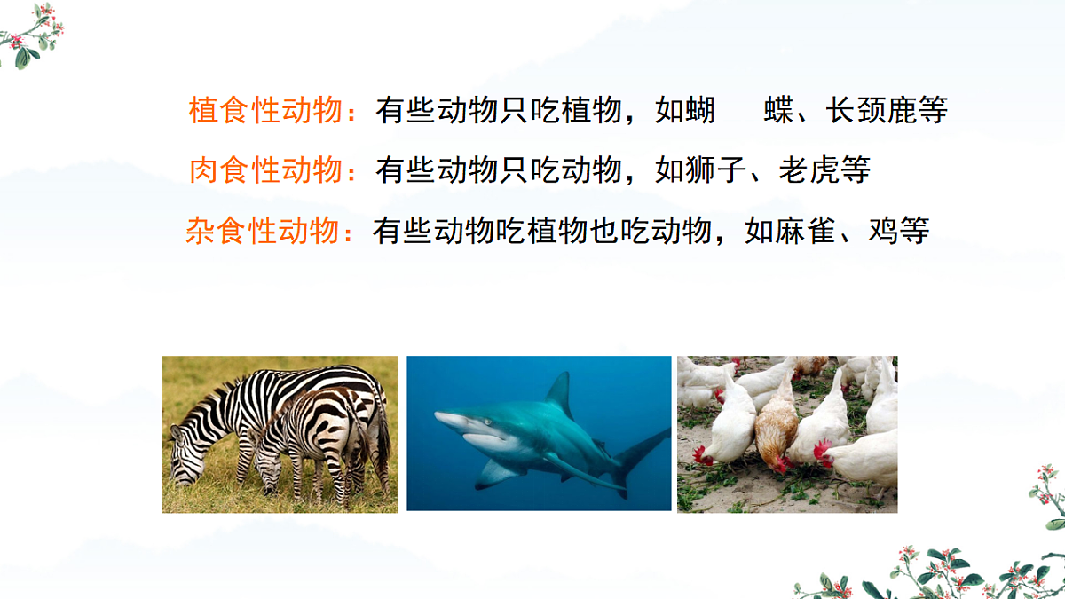 17752584第6页
