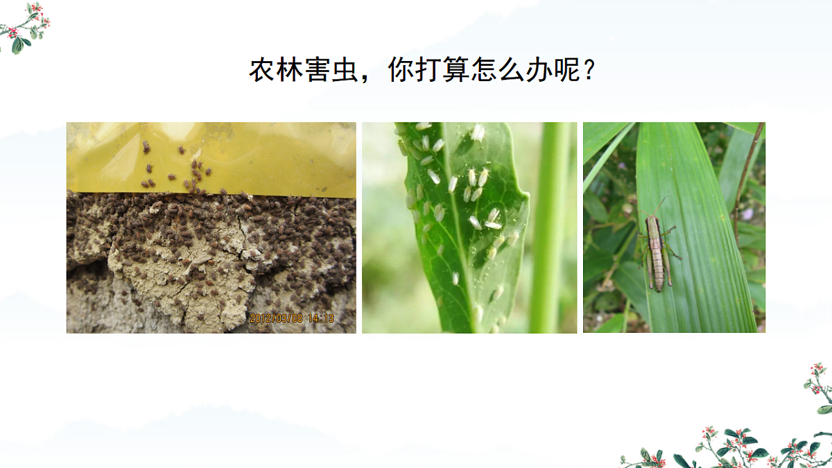 17752584第7页