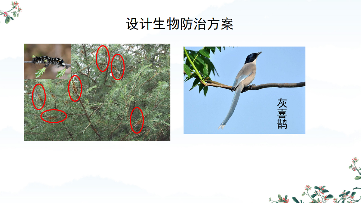 17752584第8页