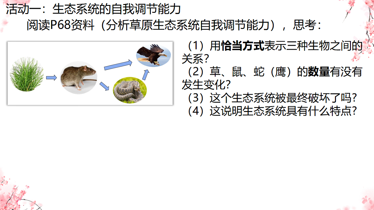 17752637第4页