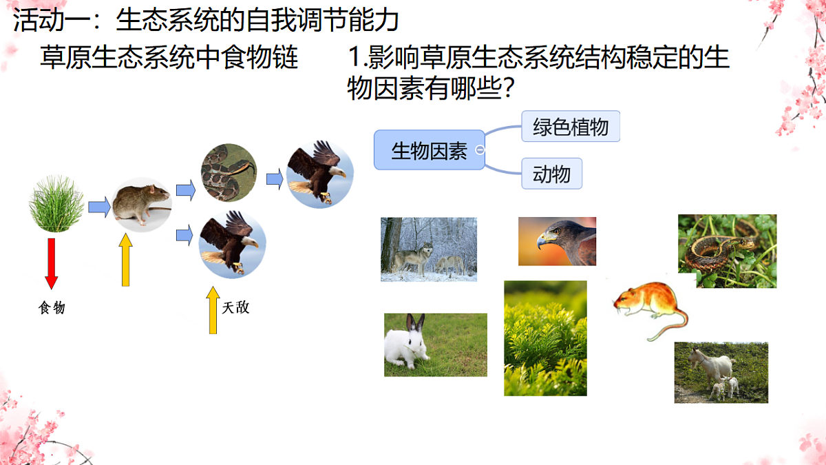17752637第5页