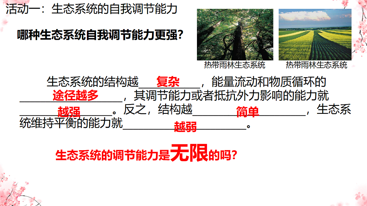 17752637第7页
