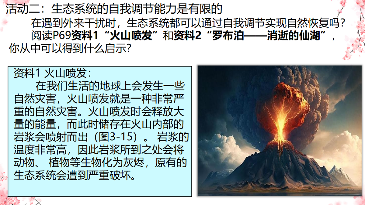 17752637第8页