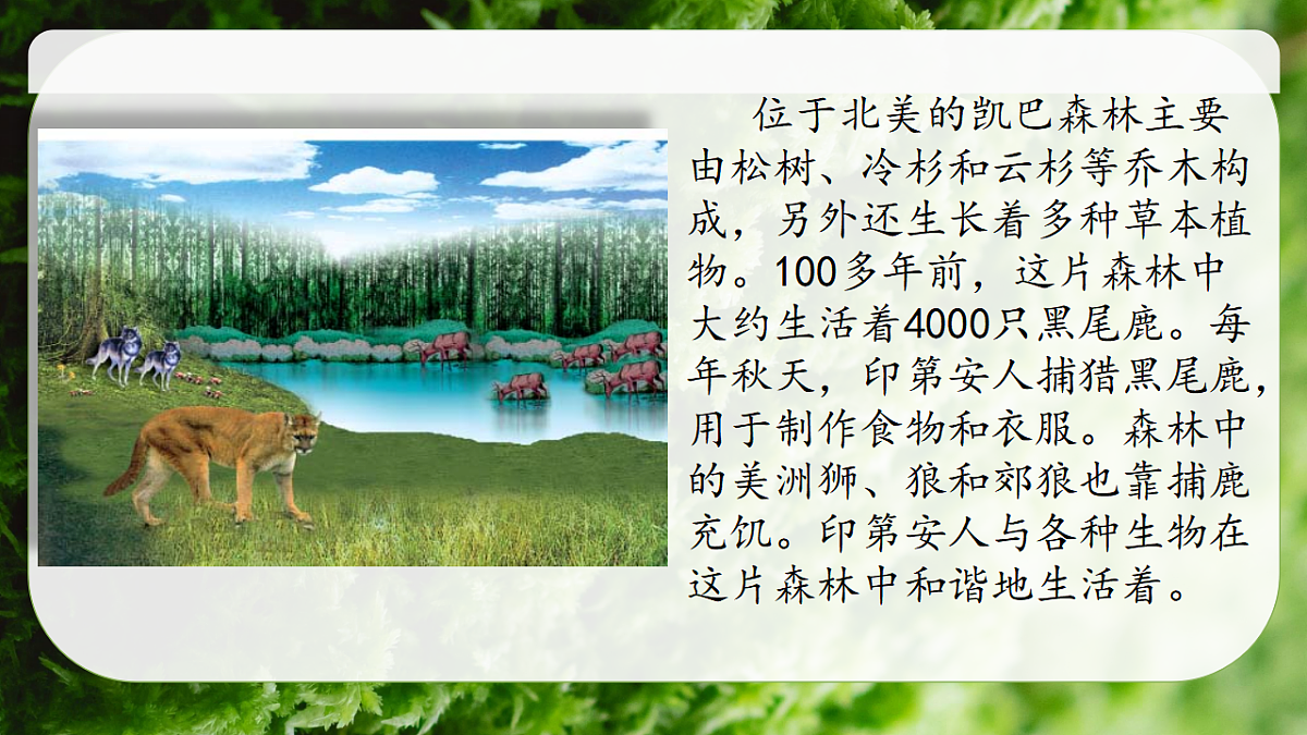 17752639第1页