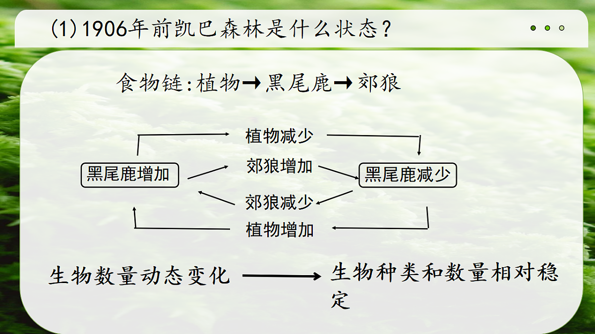 17752639第2页