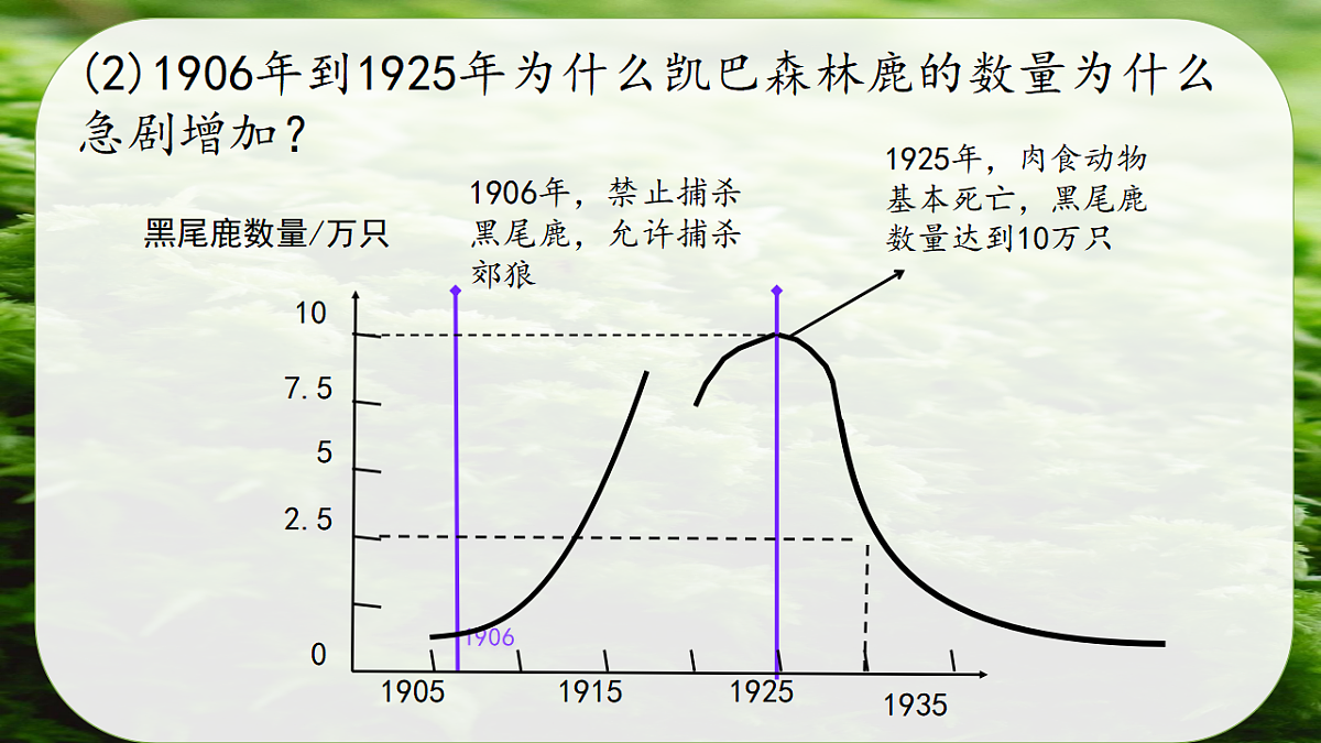 17752639第3页