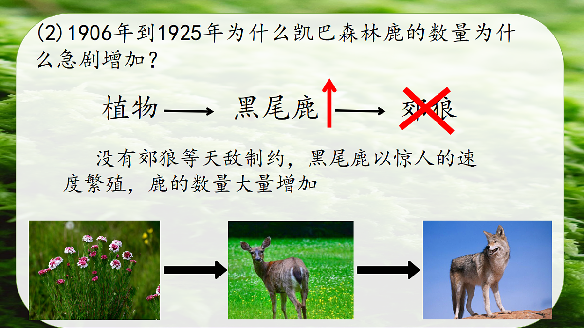 17752639第4页