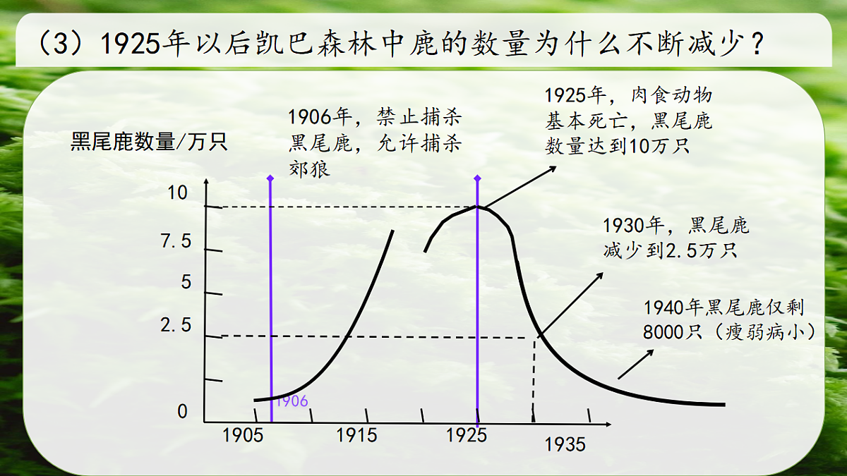 17752639第5页