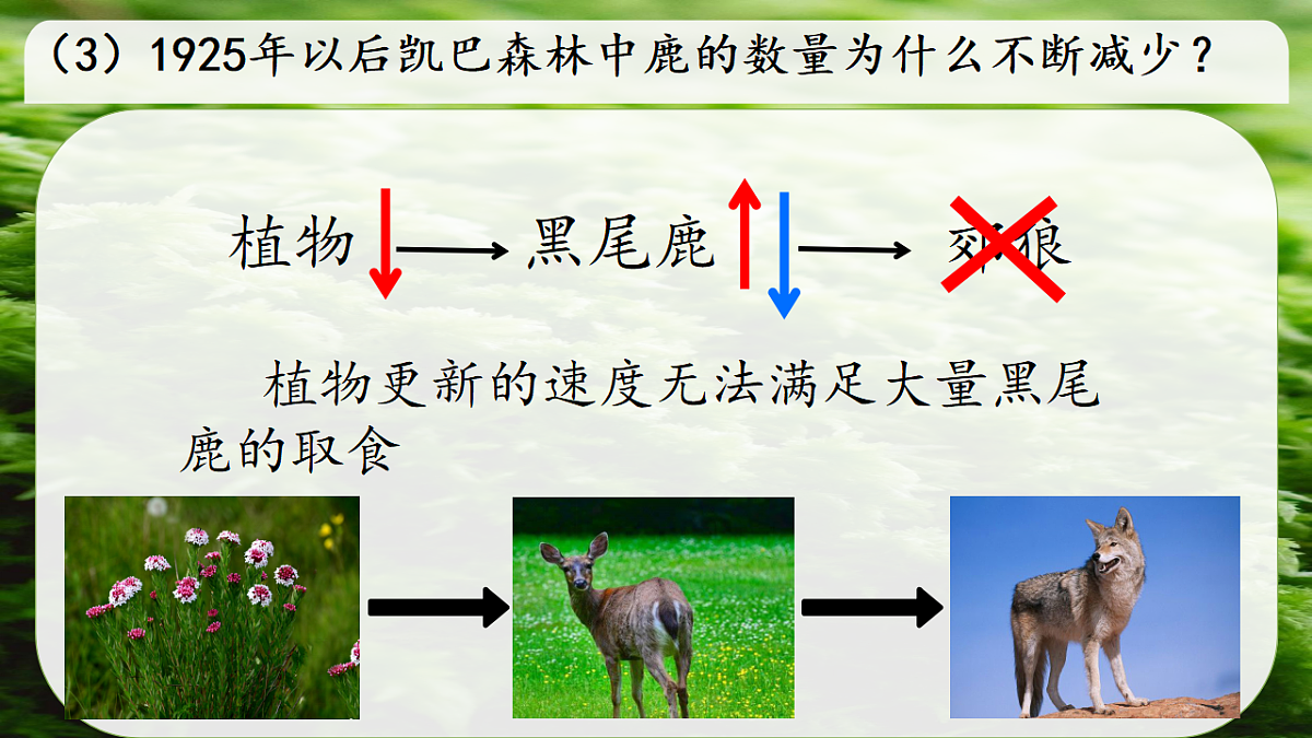 17752639第6页