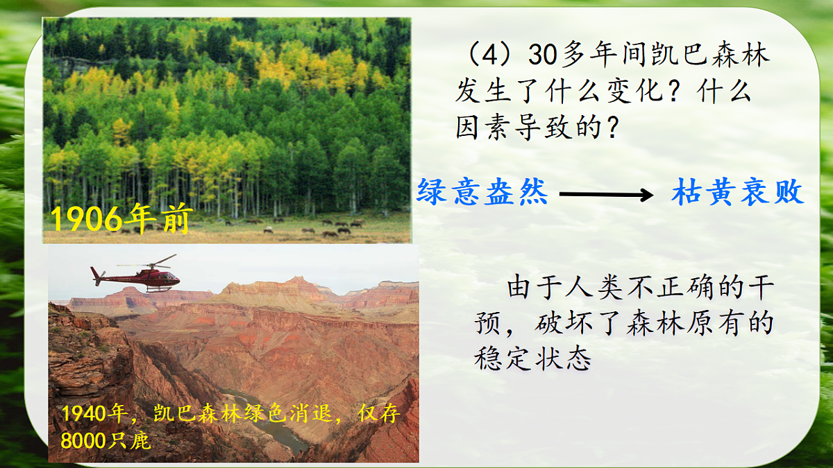 17752639第7页