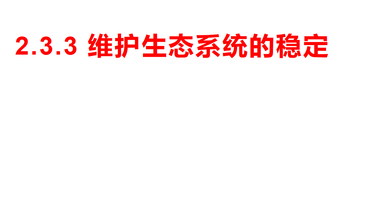17752639第8页