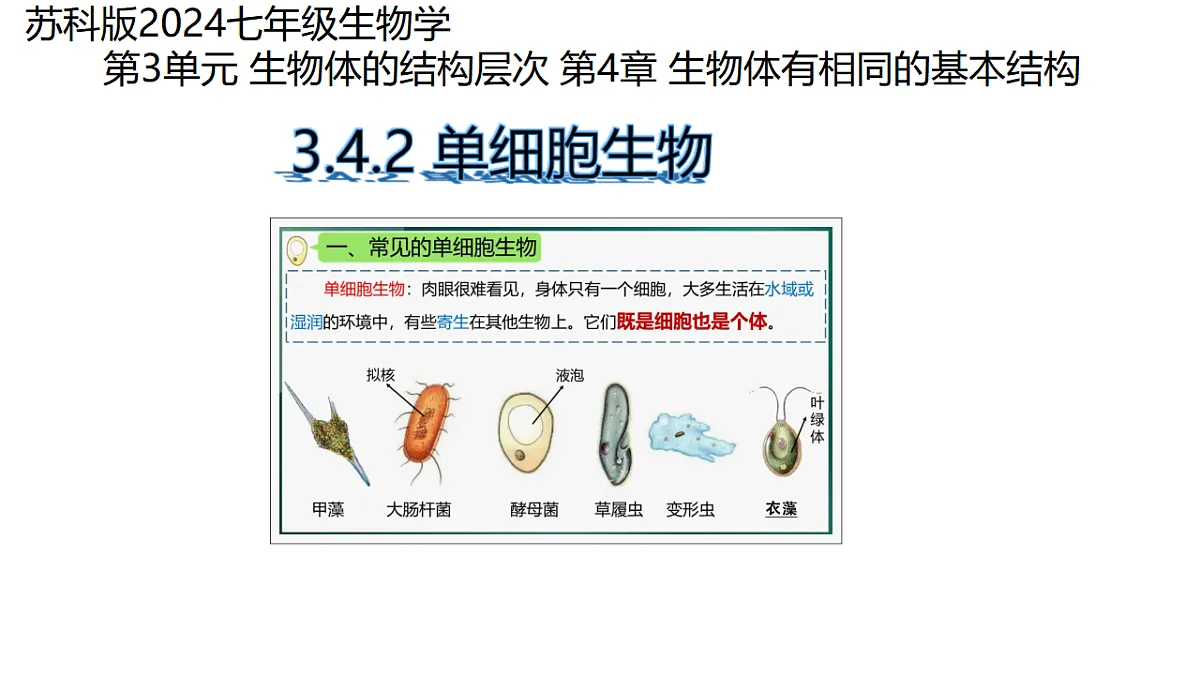 17752667第1页
