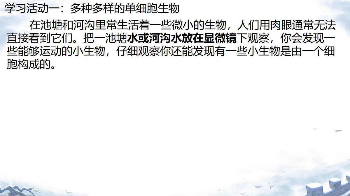 17752667第3页
