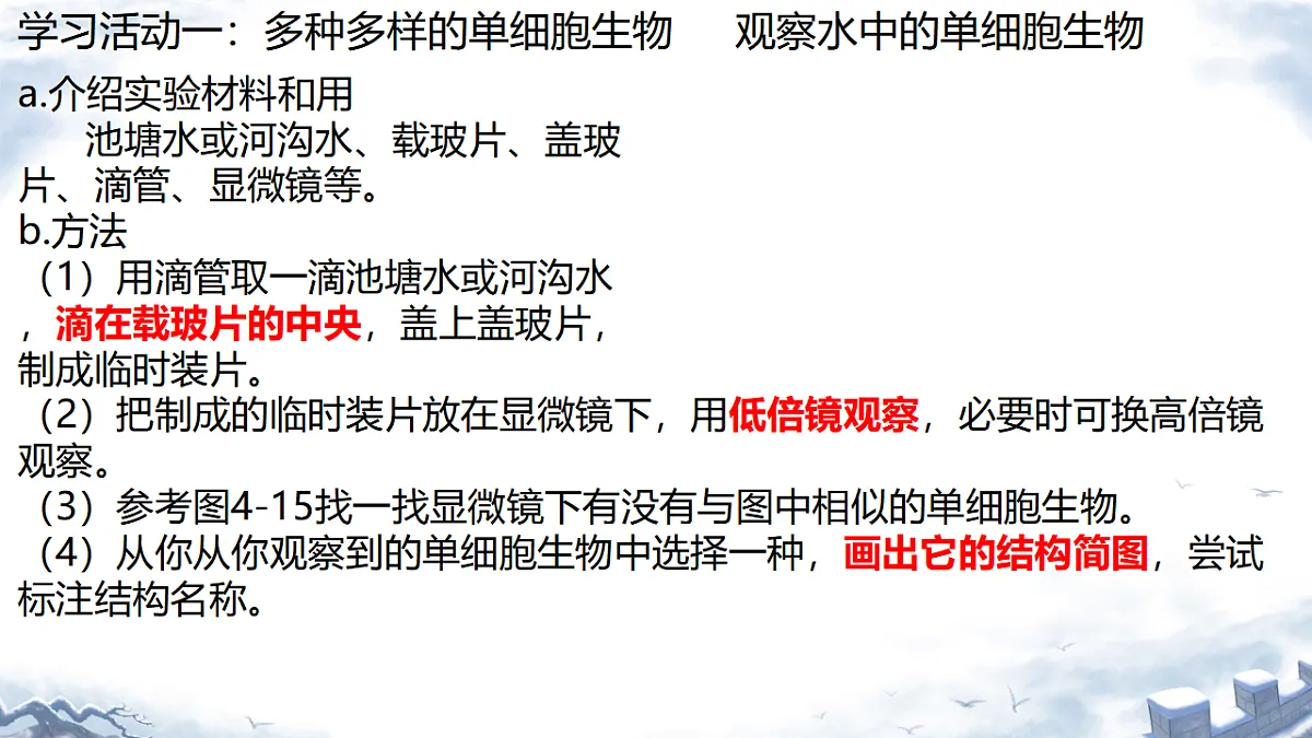 17752667第4页
