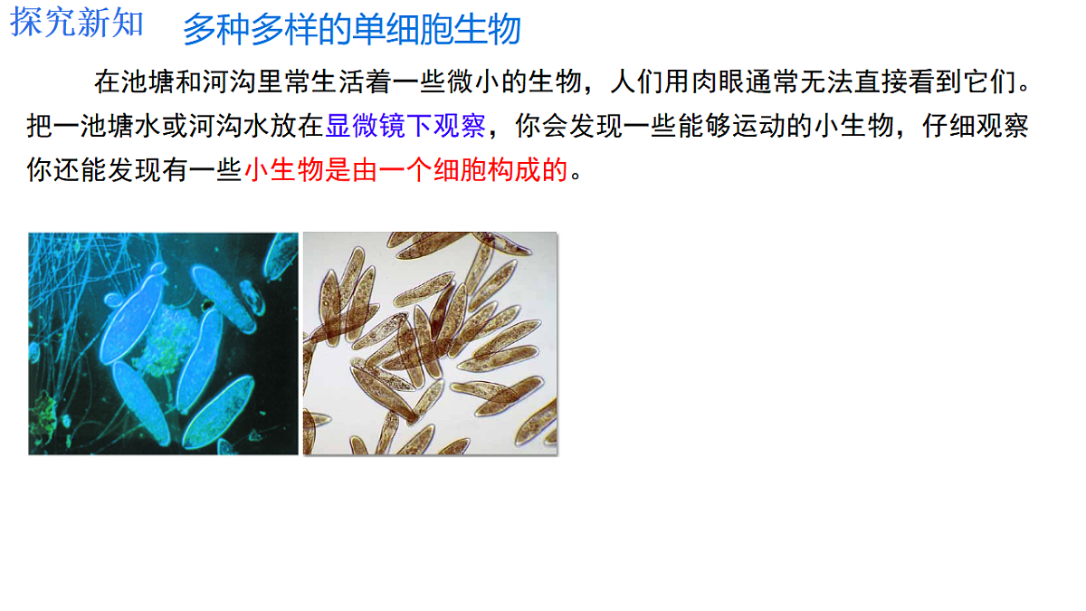 17752668第4页