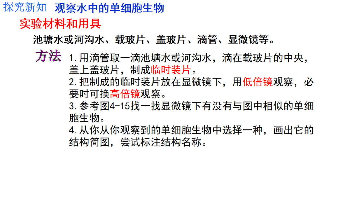 17752668第5页