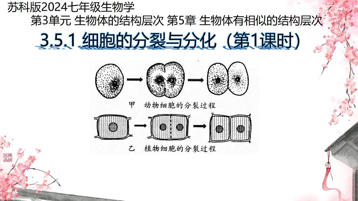 17752719第1页
