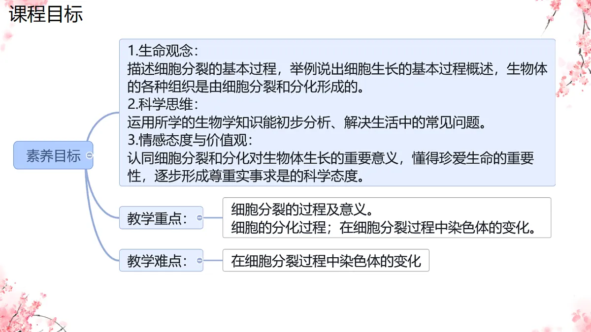 17752719第2页