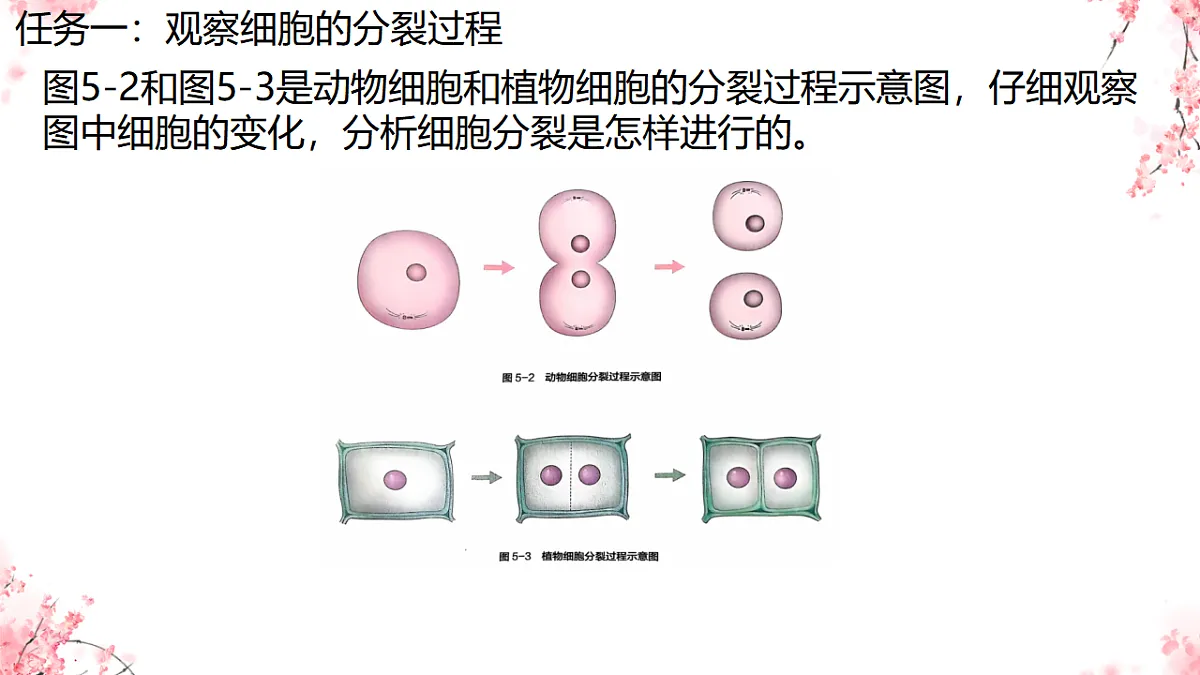 17752719第3页
