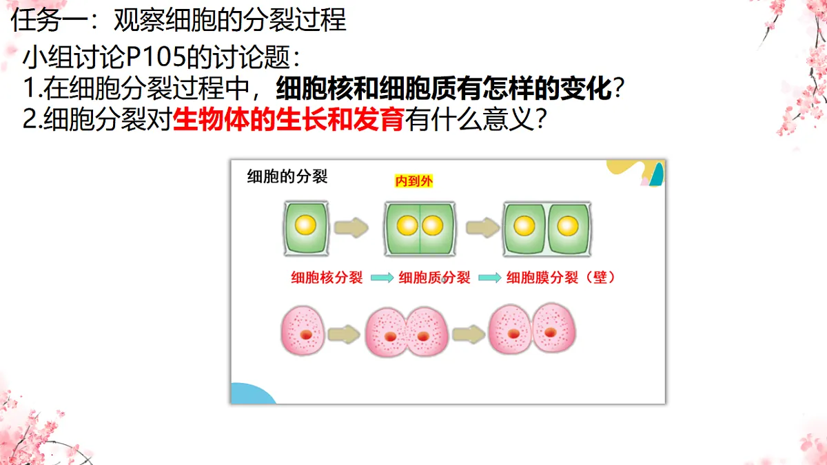 17752719第4页