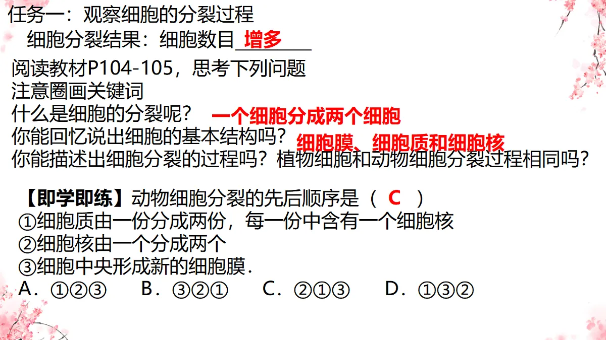 17752719第5页