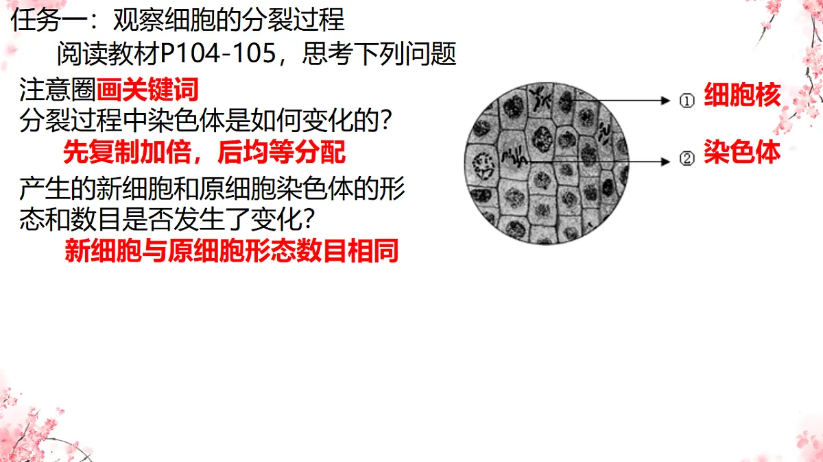 17752719第6页