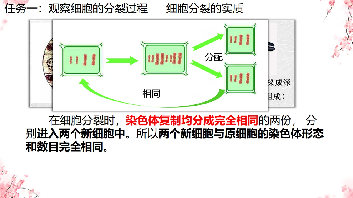 17752719第7页
