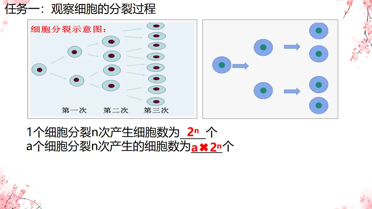 17752719第8页