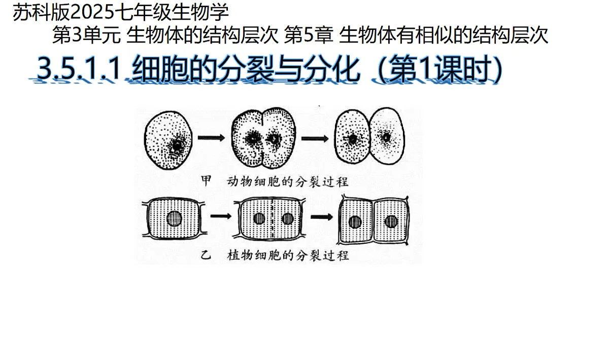 17752720第1页