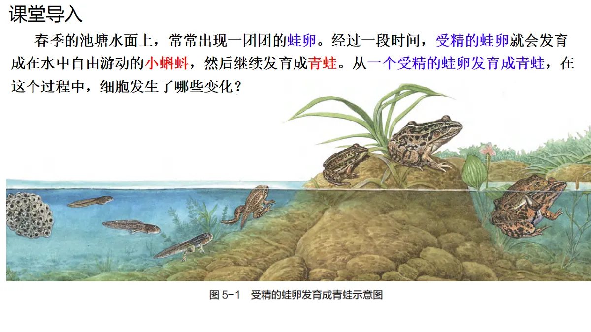 17752720第3页