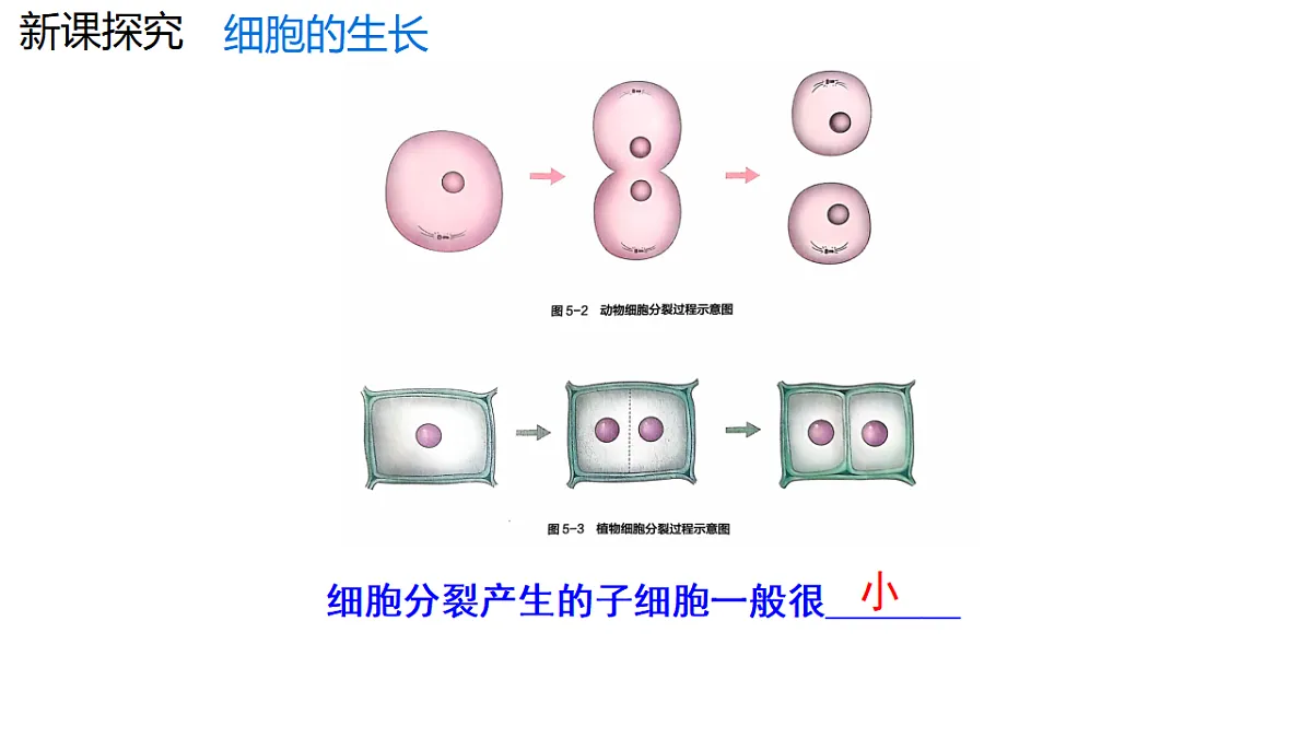 17752720第5页