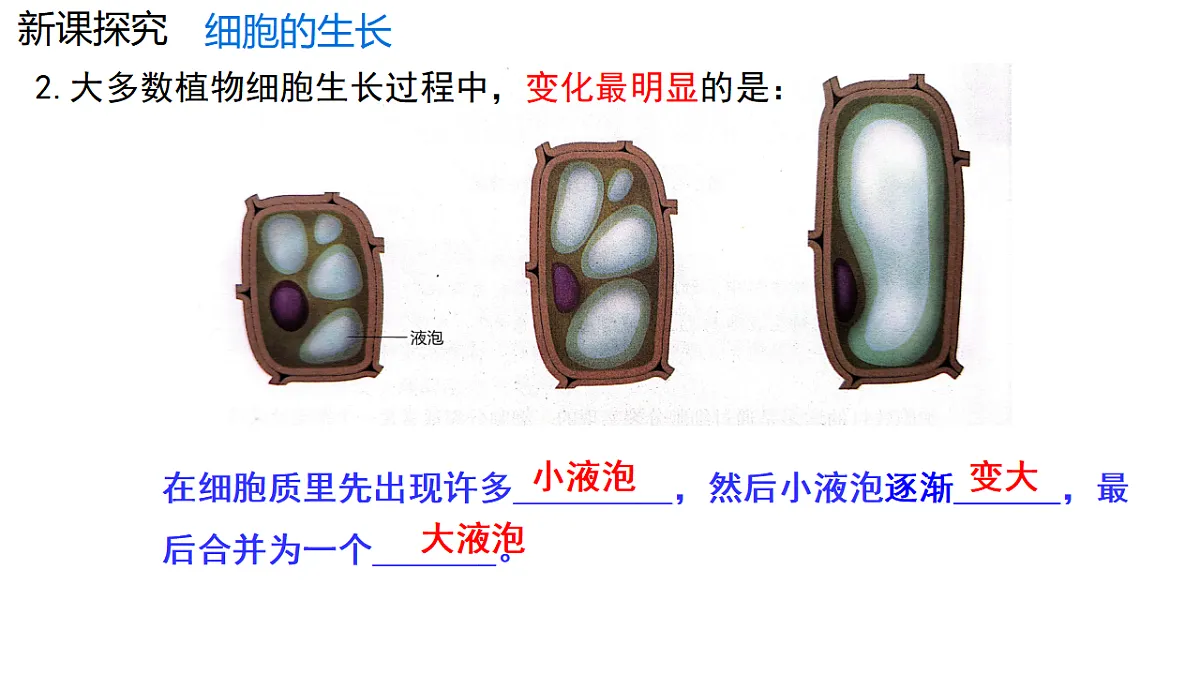 17752720第7页
