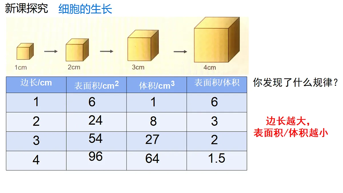 17752720第8页