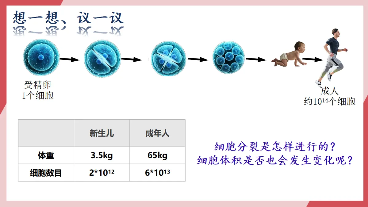 17752721第2页