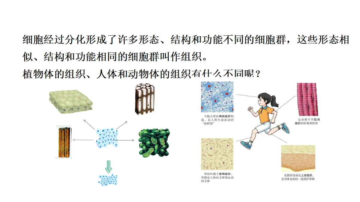 17752722第4页