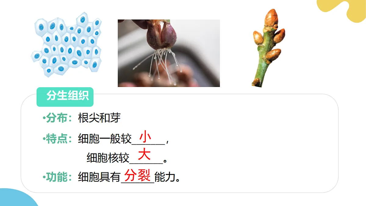 17752722第8页