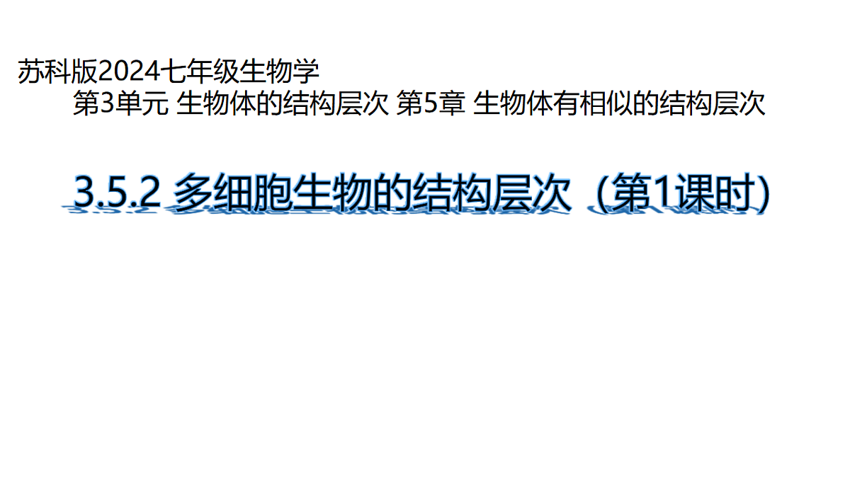 17752734第1页