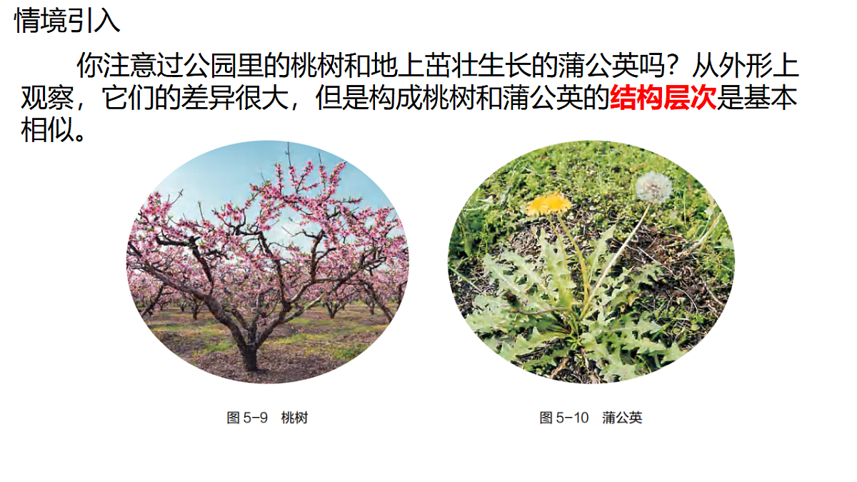 17752734第3页