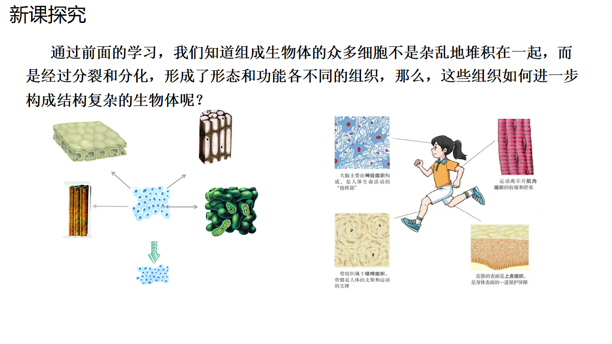 17752734第4页