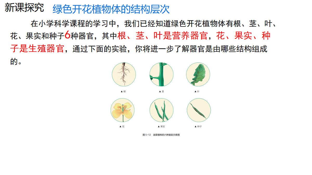 17752734第5页