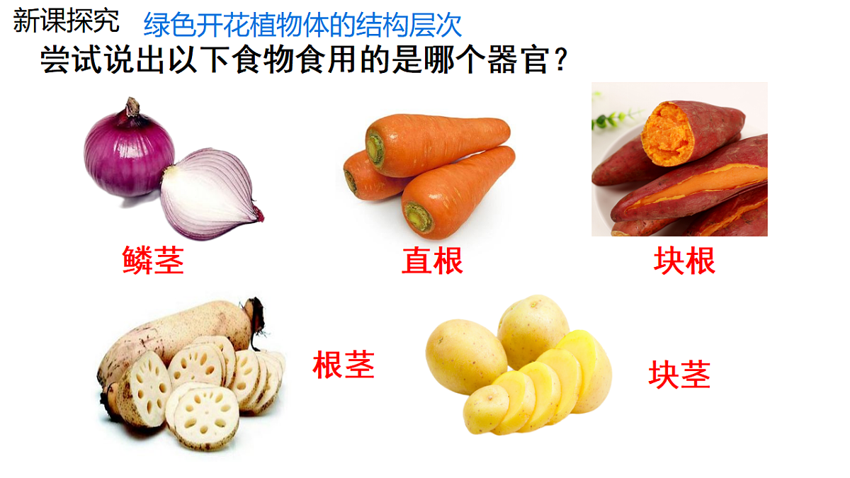 17752734第7页