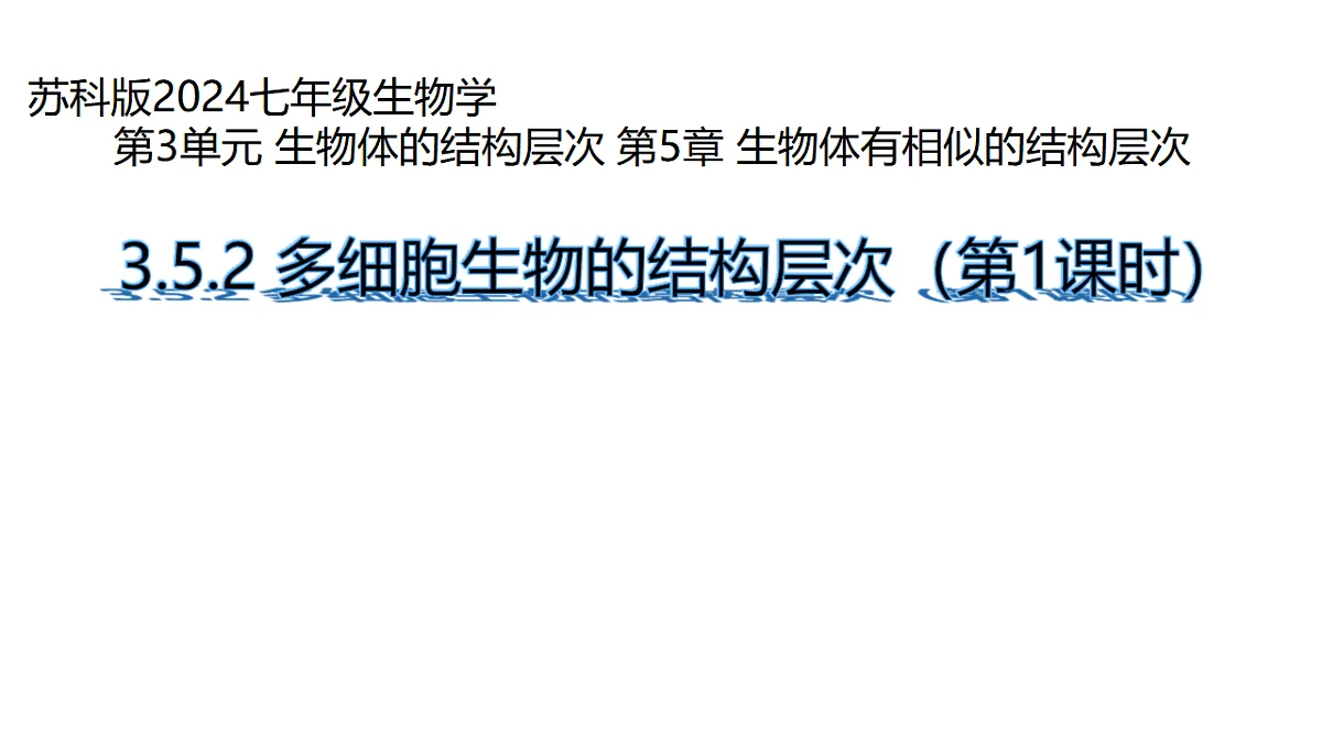 17752735第1页