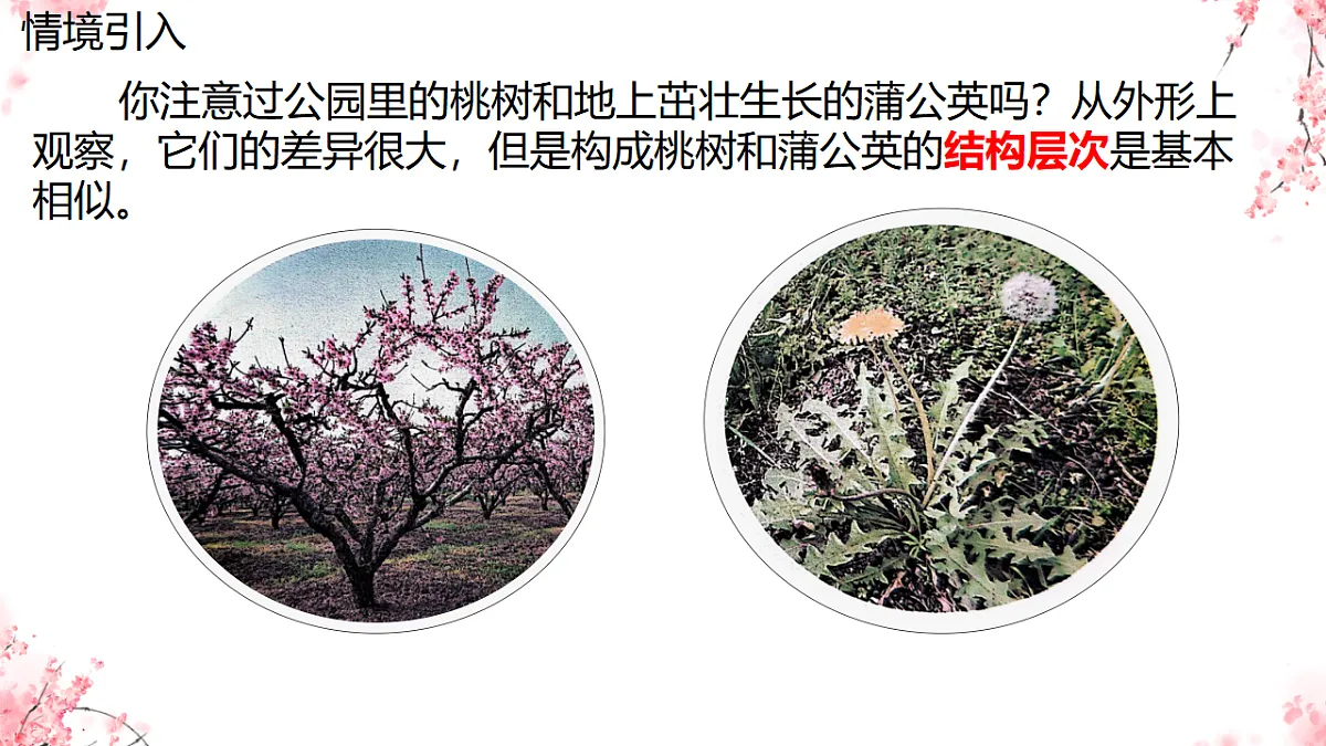 17752735第3页