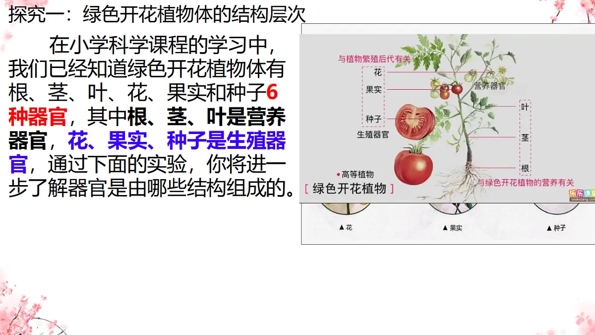 17752735第4页