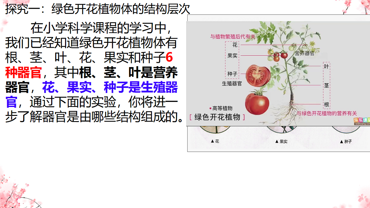 17752735第4页