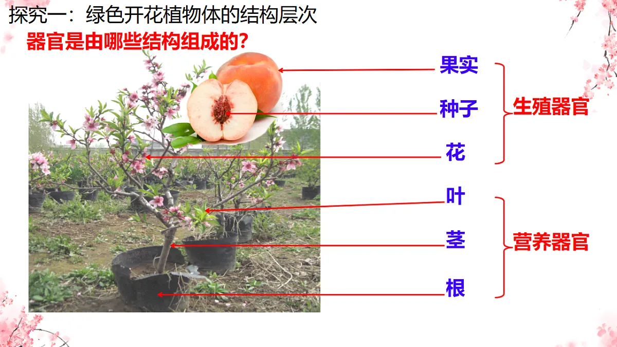 17752735第5页