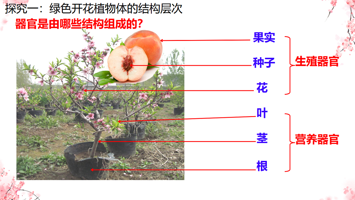 17752735第5页
